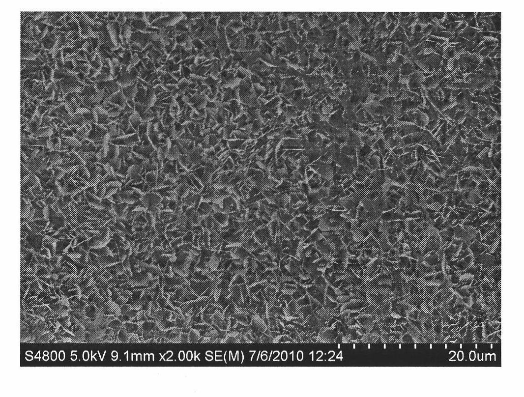 Surface mount method of mineralized collagen gradient coating for medical titanium implant