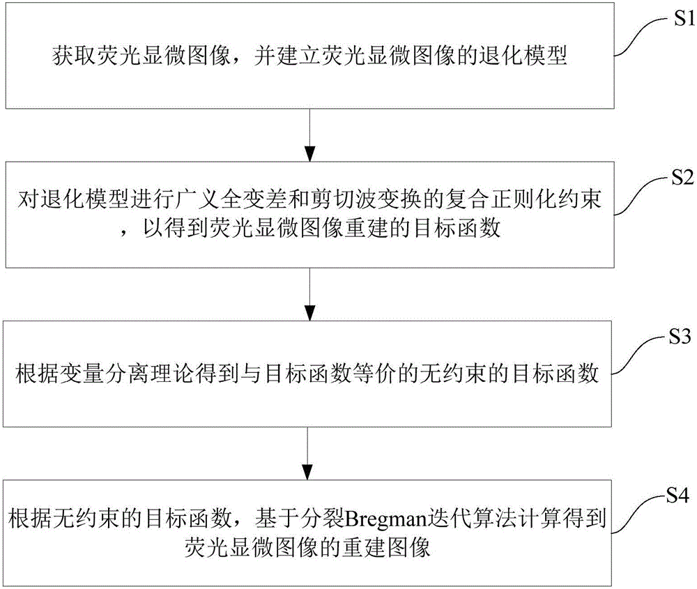 Fluorescent microscopic image three-dimensional reconstruction method and system based on compound regularization technology