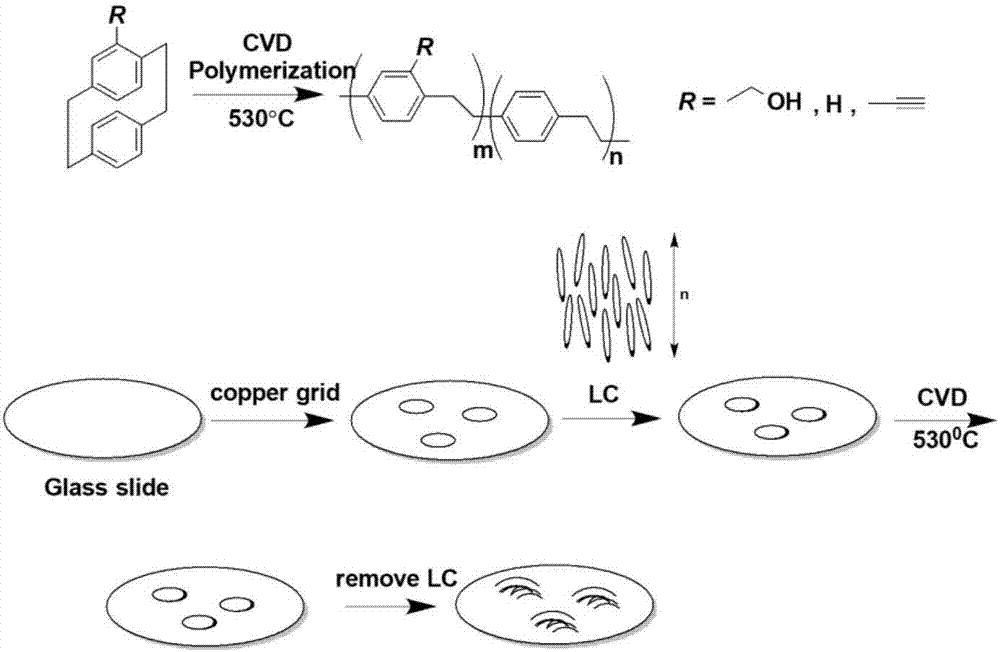 Method for preparing poly-p-xylylene nano fibers through chemical vapor deposition