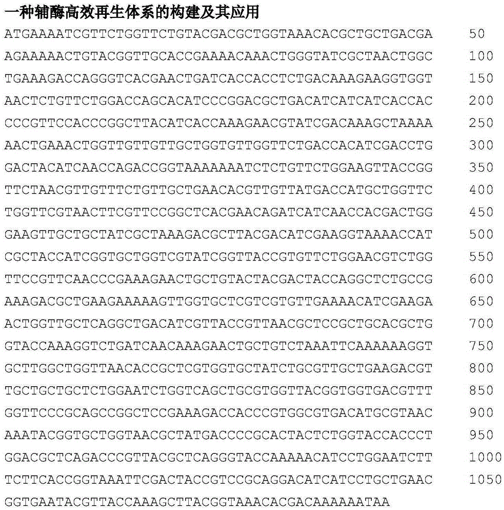 Construction of coenzyme efficient regeneration system and application thereof