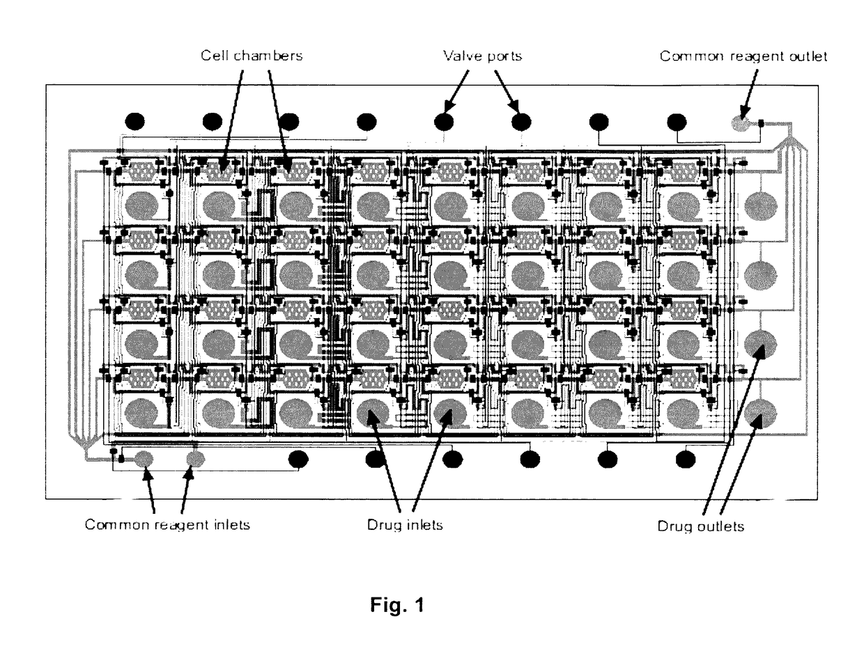 Microfluidic grid-based design for high throughput assays