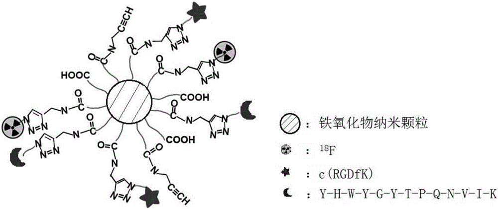 Tumor targeted radioactive nano-particles and preparation method thereof