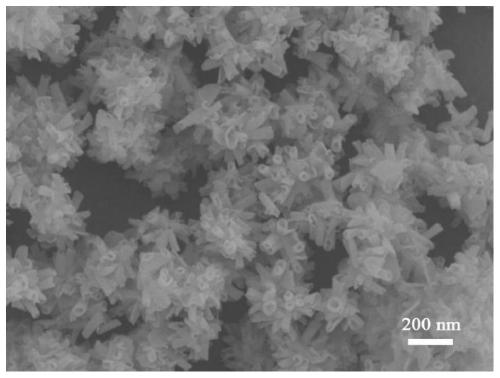 Method for preparing holmium oxide nano materials with different morphologies