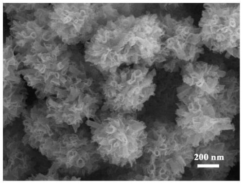 Method for preparing holmium oxide nano materials with different morphologies