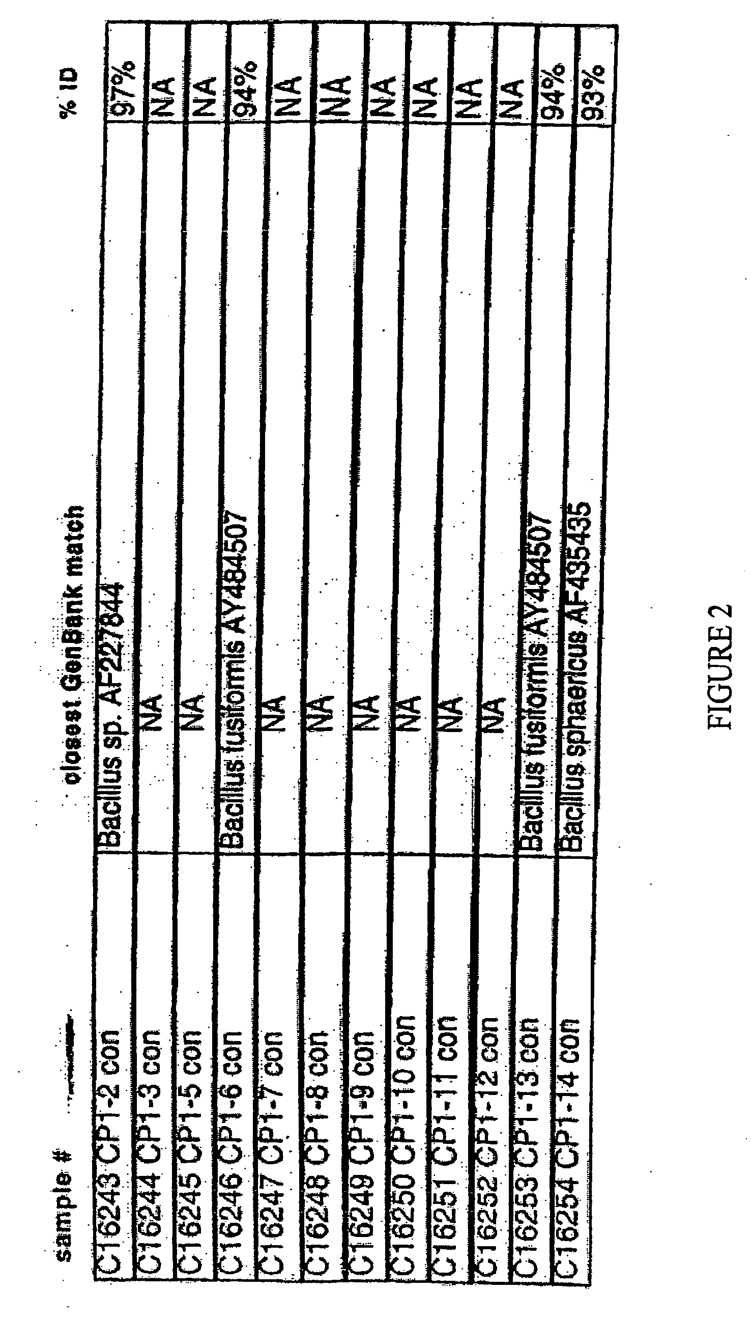 Methods and compositions for improving plant growth