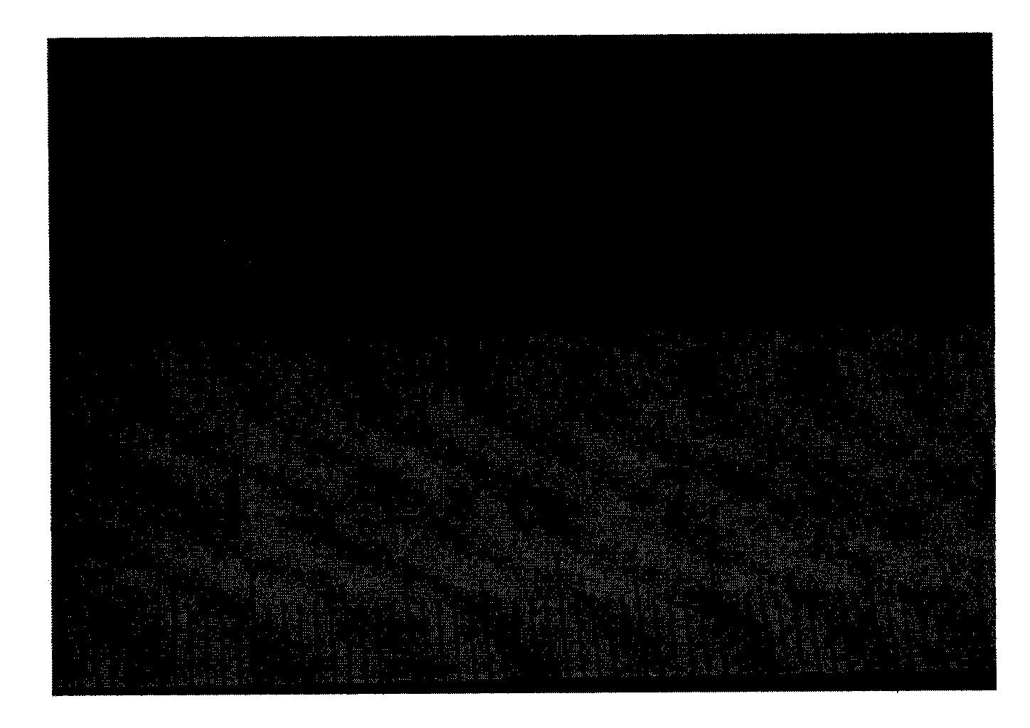 Method for preparing rare earth-doped yttrium aluminum garnet transparent ceramic