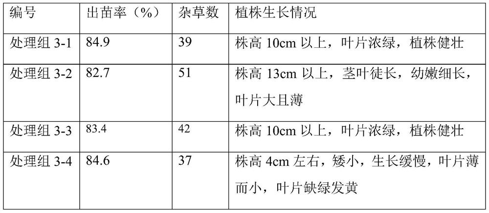 Polygonum viviparum planting substrate and method for promoting growth of polygonum viviparum