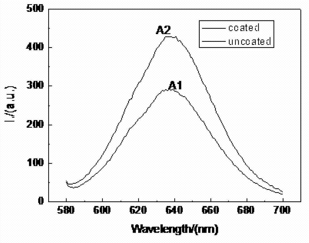 Light conversion film and preparation method thereof