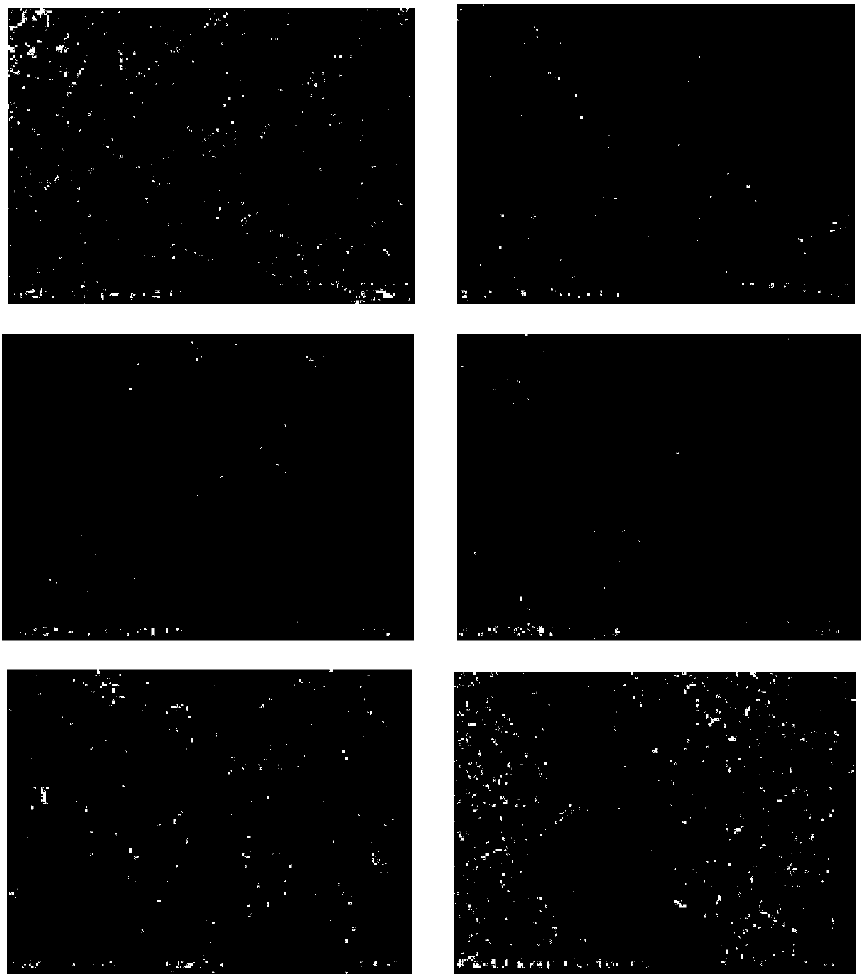 Electrode used for ethyl alcohol catalysis and application of electrode