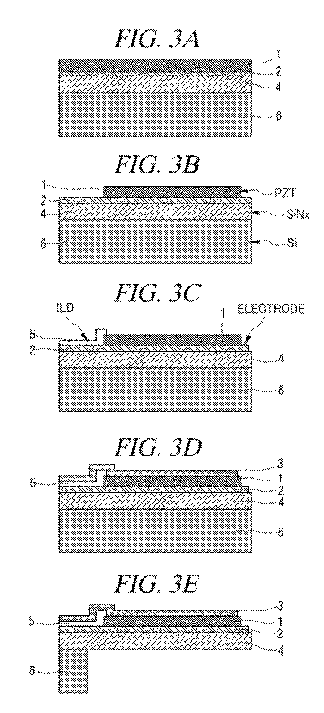 Physical/Biochemical Sensor Using Piezoelectric Microcantilever And Manufacturing Method Thereof