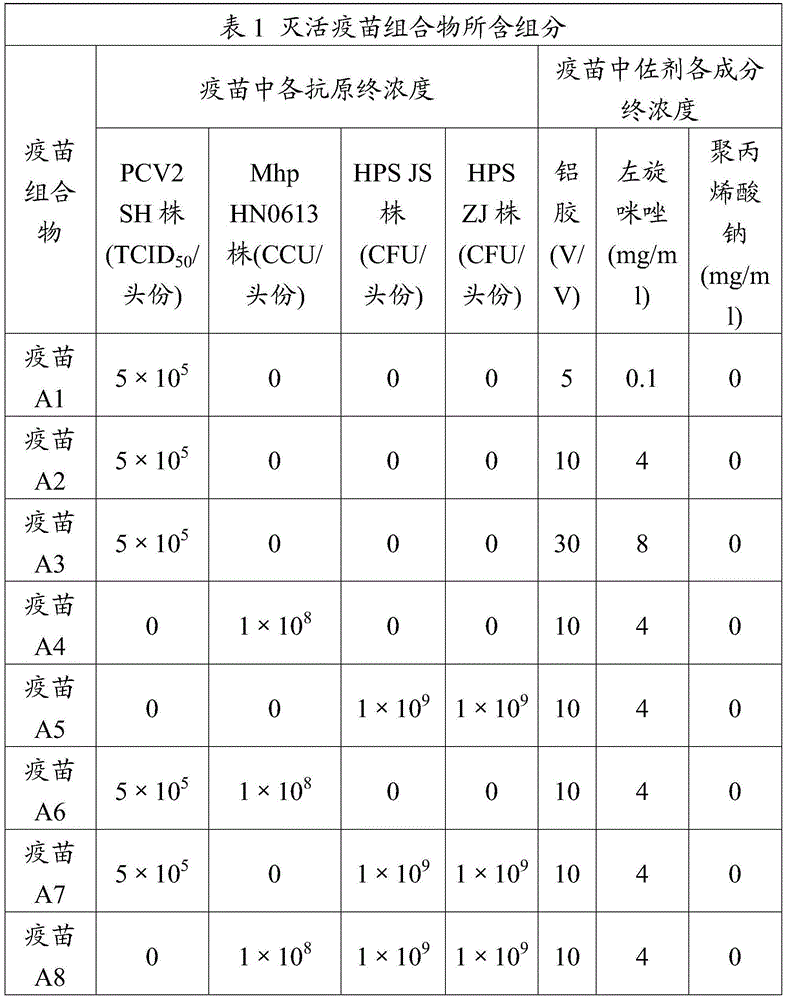 Adjuvant used for vaccine and application thereof