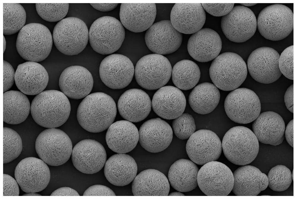 A kind of nickel composite hydroxide and its manufacture method