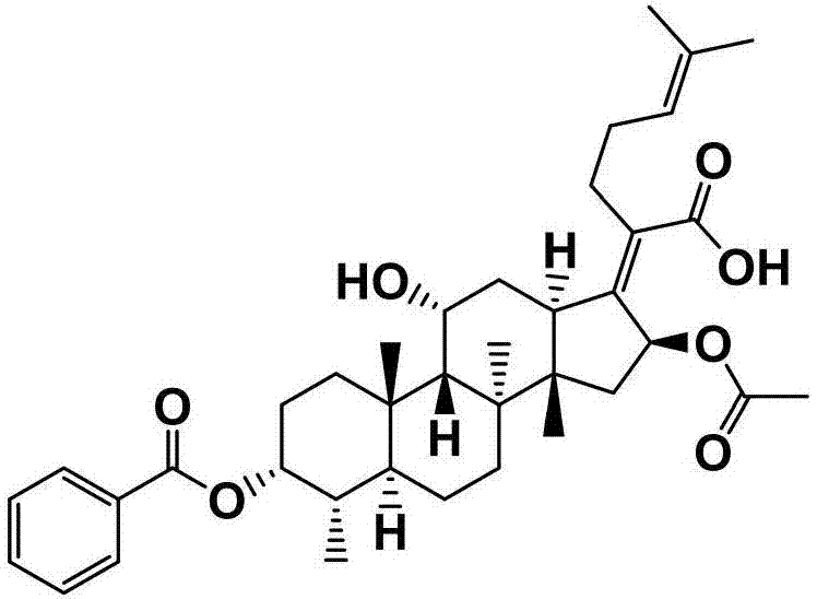 Chemically modified fusidic acid, preparation method thereof and application of chemically modified fusidic acid