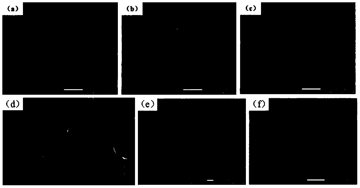 Graphene oxide/molecularly imprinted composite material, and preparation method and application thereof