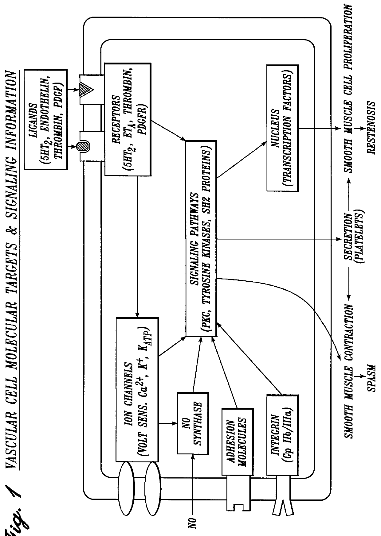 Surgical irrigation solution and method for inhibition of pain and inflammation