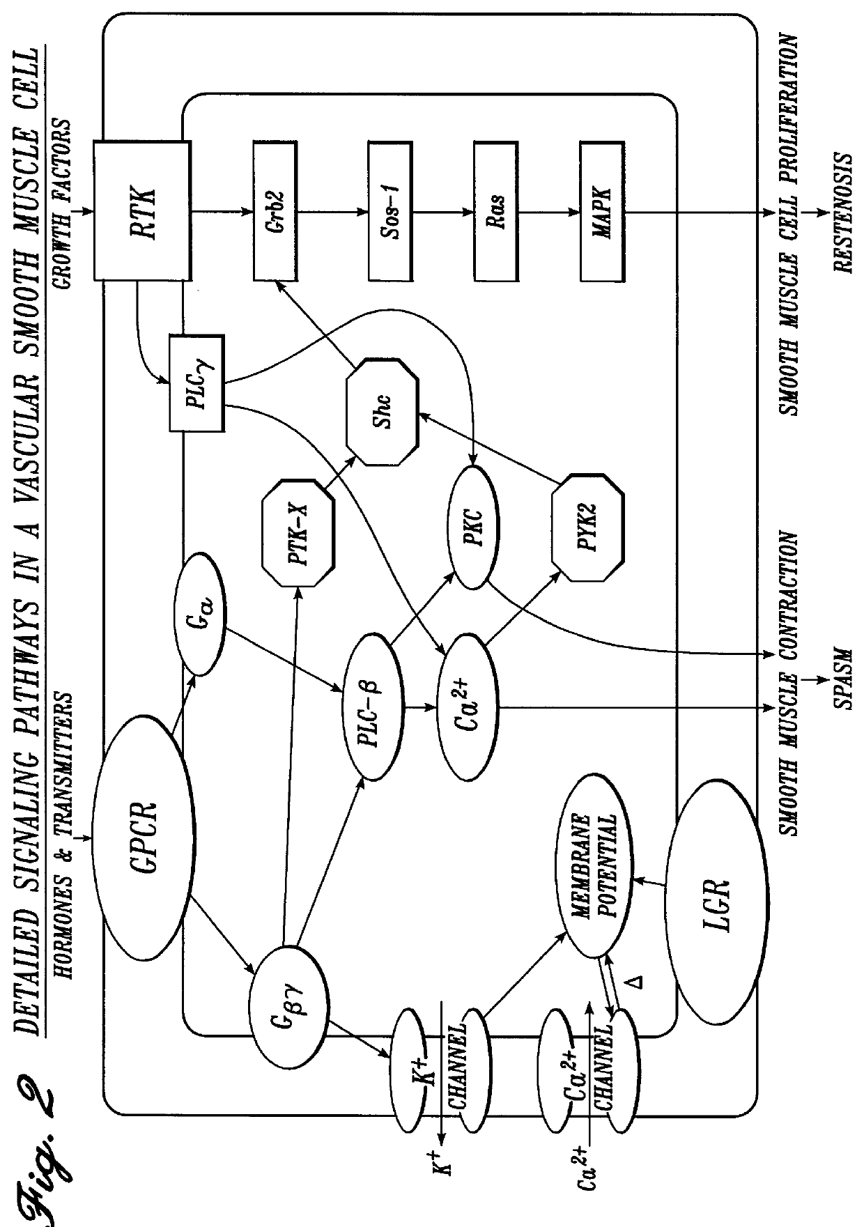 Surgical irrigation solution and method for inhibition of pain and inflammation