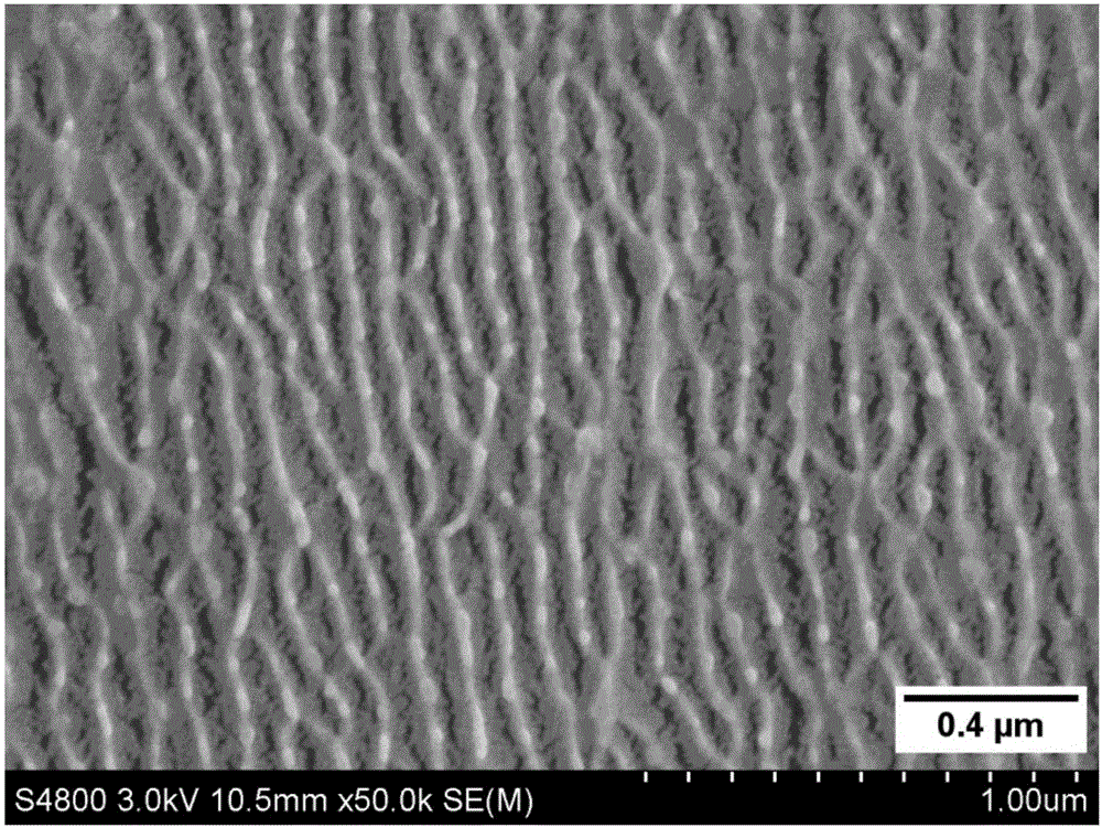 Water solubility resisting PVA nanofiber composite fabric and preparation method thereof