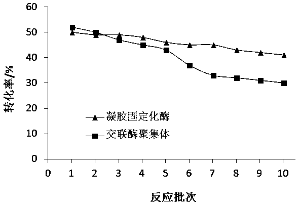 Gel immobilization enzyme with catalytic and antibacterial functions and preparation method thereof