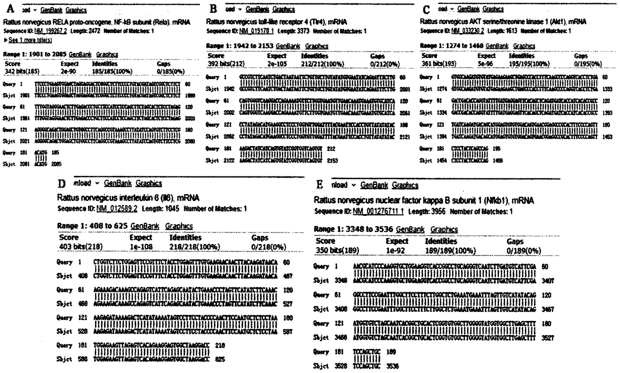 Primer for detecting inflammatory cytokines in rats with rheumatoid arthritis and method thereof