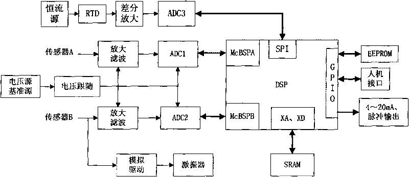 Coriolis mass flow transmitter based on DSP