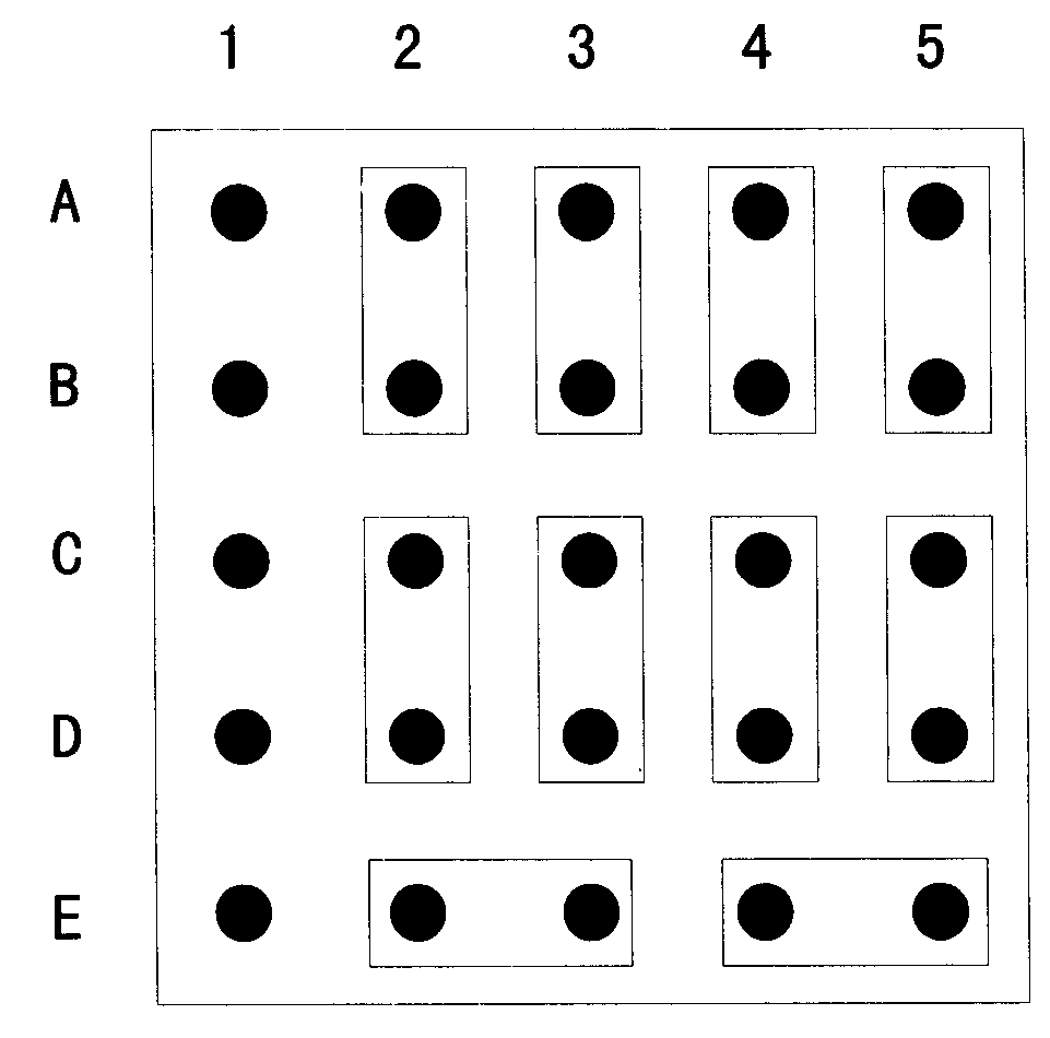 Method of biochip for simultaneous testing avian influenza infection of human and fowls