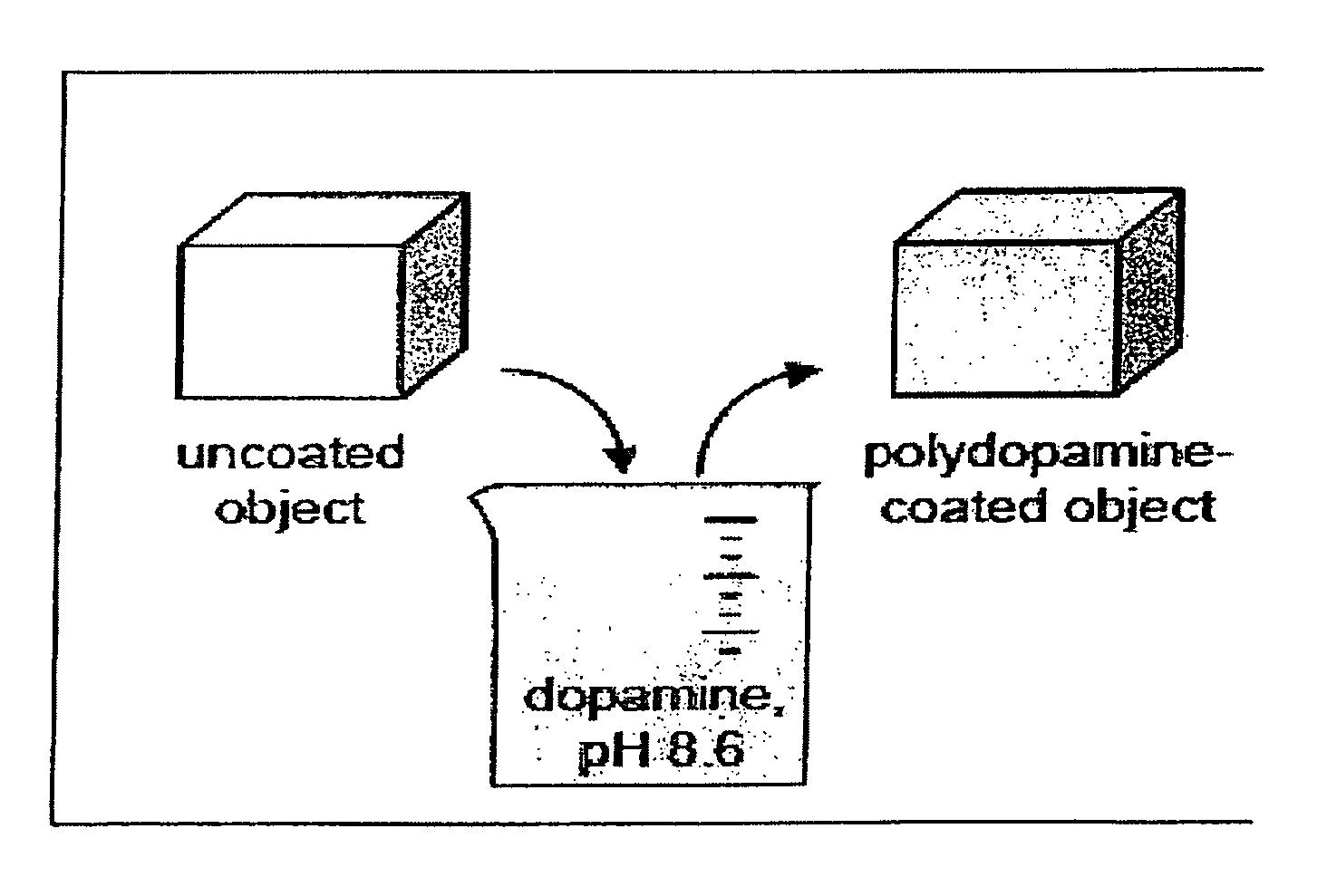 Surface-independent, surface-modifying, multifunctional coatings and application thereof