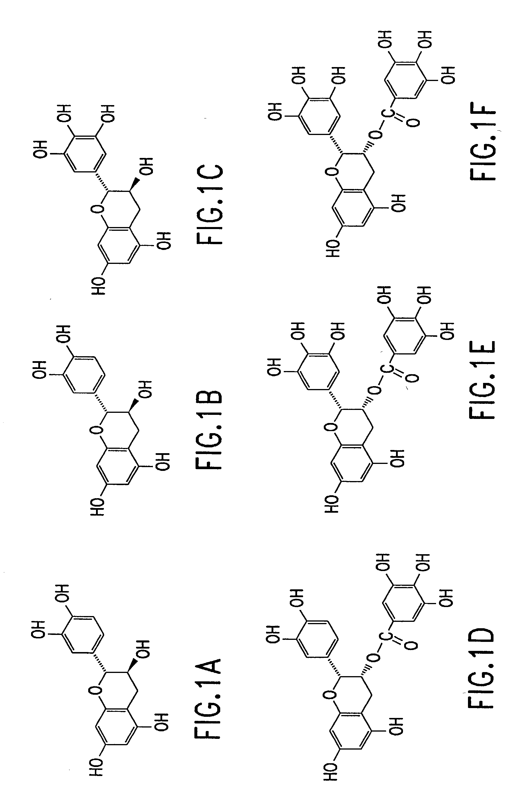 Tea catechins as cancer specific proliferation inhibitors