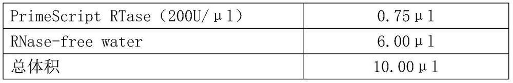 Specific miRNAs in peripheral plasma for pre-eclampsia and application thereof