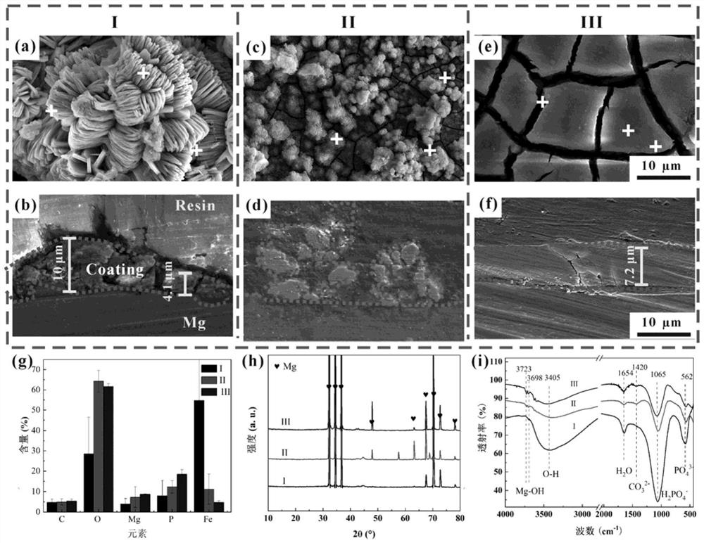 Magnesium or magnesium alloy surface autocatalytic degradation coating and preparation method thereof