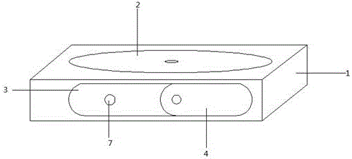 Projector with fingerprint identification function