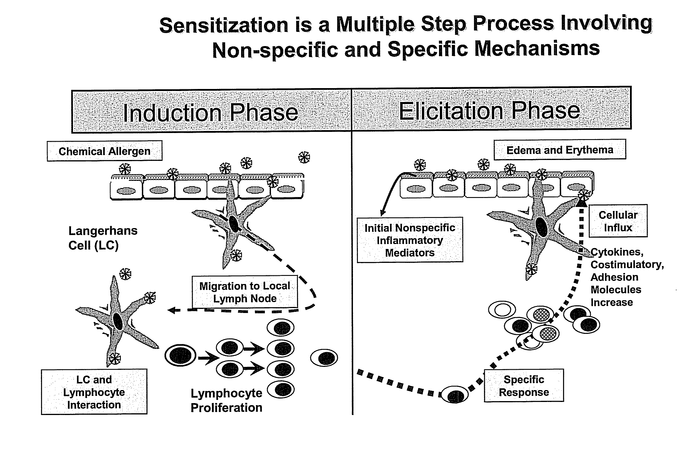 Method for Predicting Skin Sensitizing Activity of Compounds