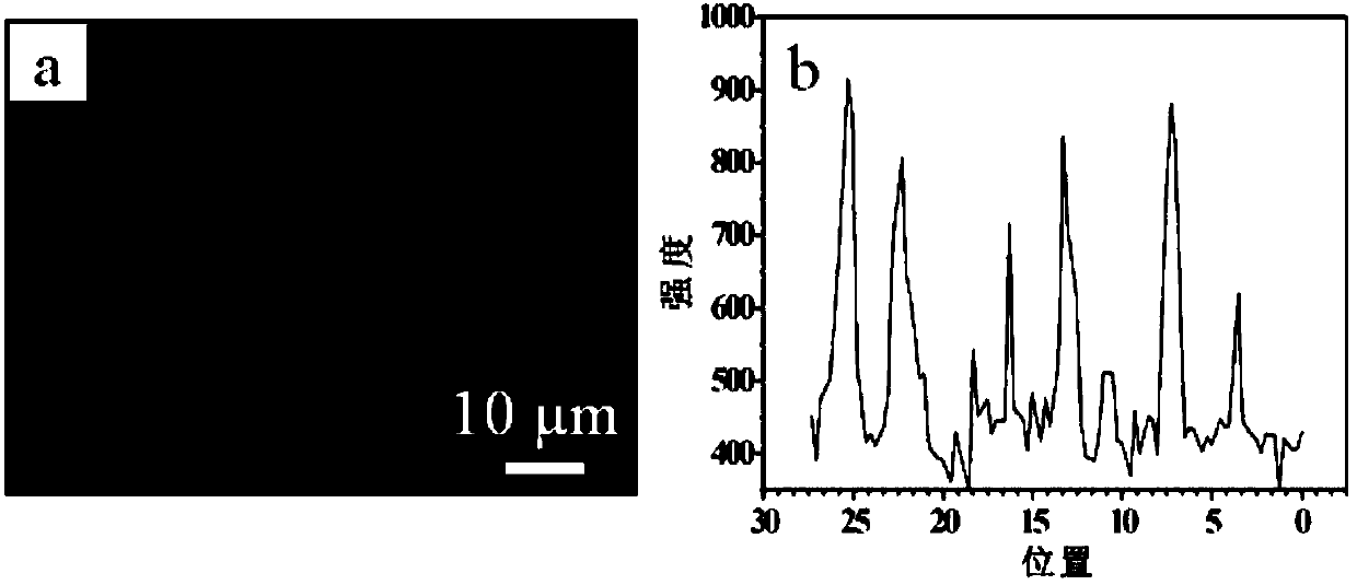 Cell patterning structure, preparation method and application in cell proliferation inhibition