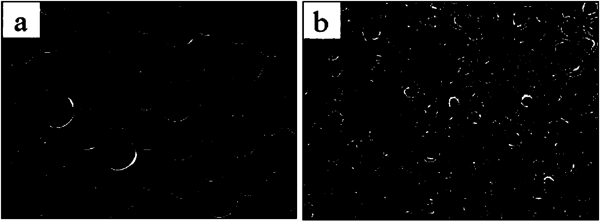 Cell patterning structure, preparation method and application in cell proliferation inhibition