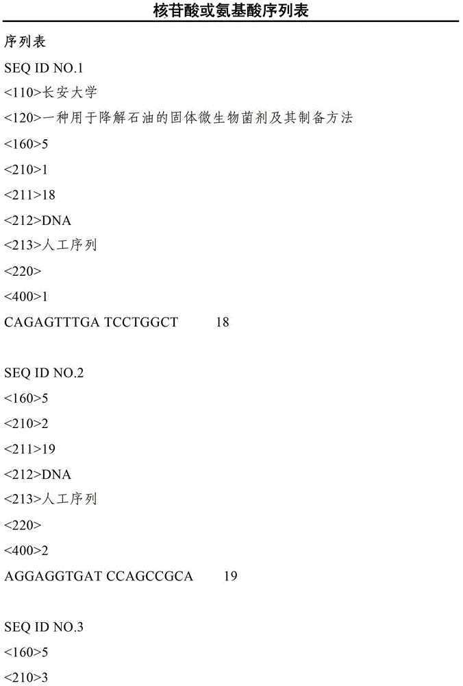 Solid microbial bacterium agent for petroleum degradation and preparation method thereof