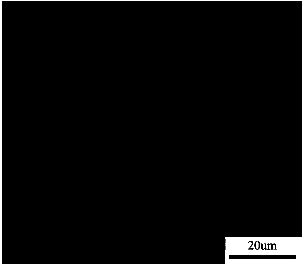 High-wearing-resistance tungsten alloy powder metallurgy material for precise instrument and preparation method of high-wearing-resistance tungsten alloy powder metallurgy material