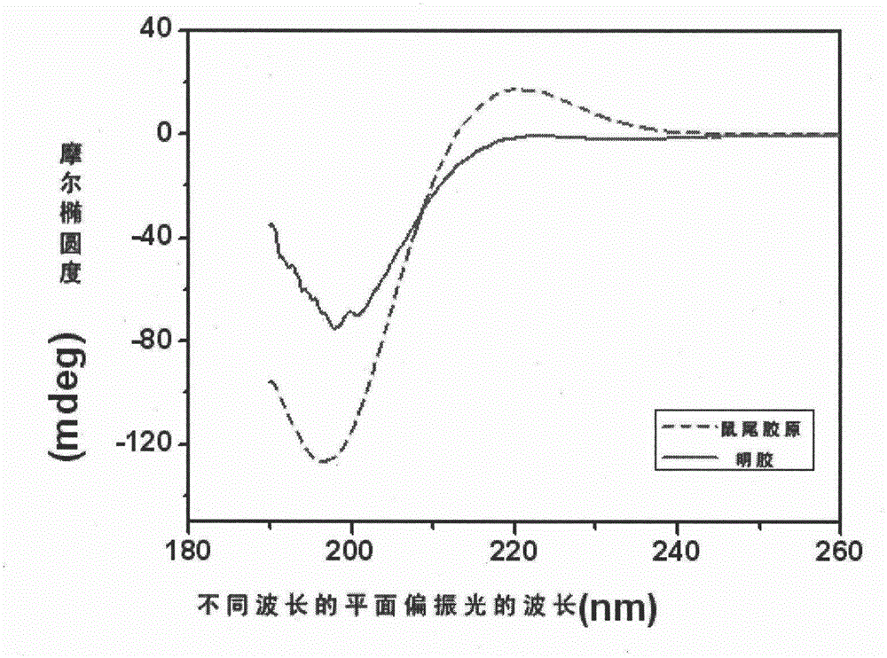 Biomedical mouse tail collagen extraction method