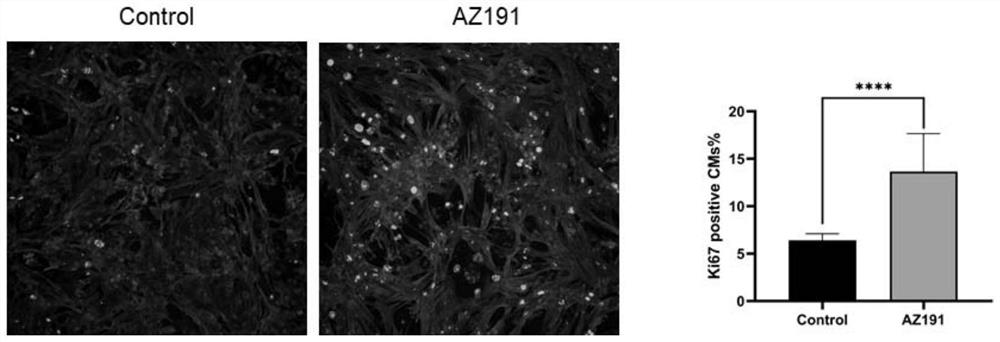 New application of AZ191 in medicines