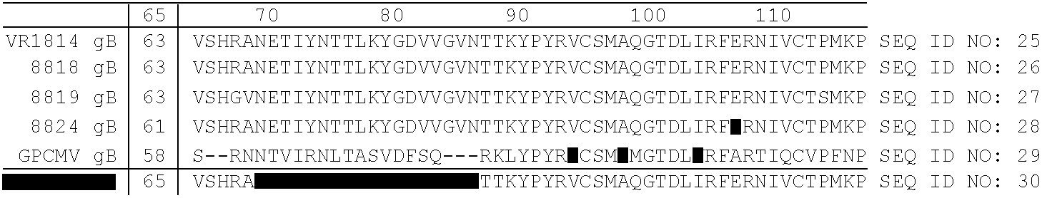 Compositions and Methods for the Therapy and Diagnosis of Cytomegalovirus