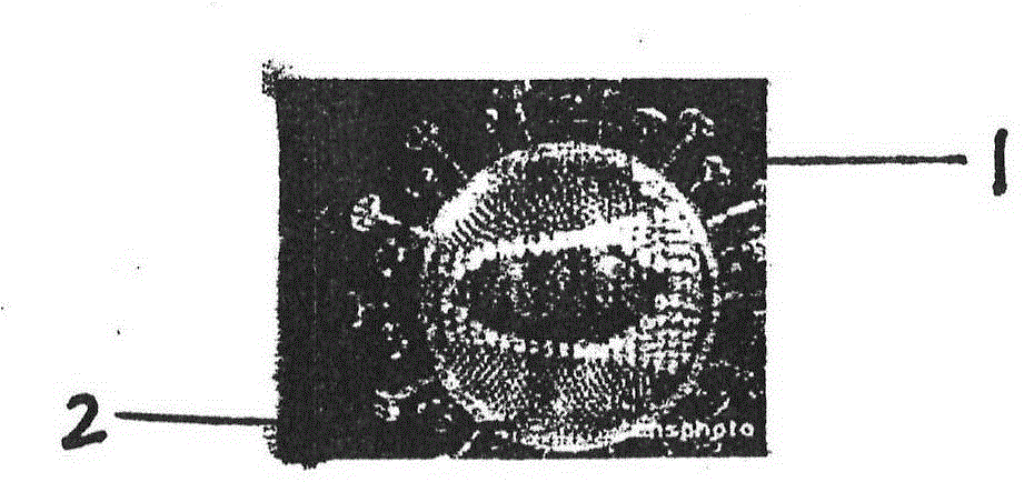 Application of microcrystalline cellulose for preventing and treating extraordinary common cold