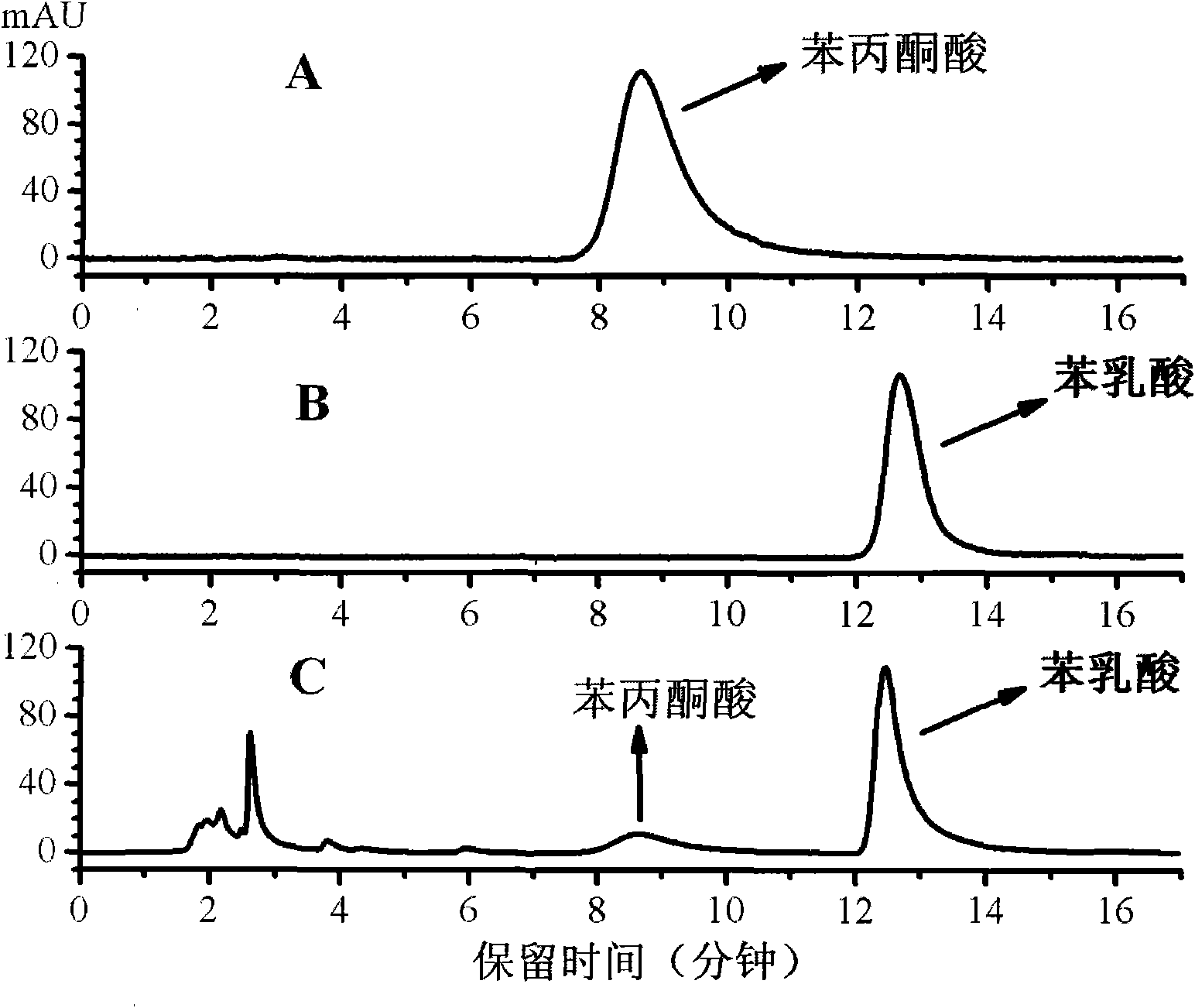 Heat-resistant bacillus and application thereof in preparing phenyl lactic acid