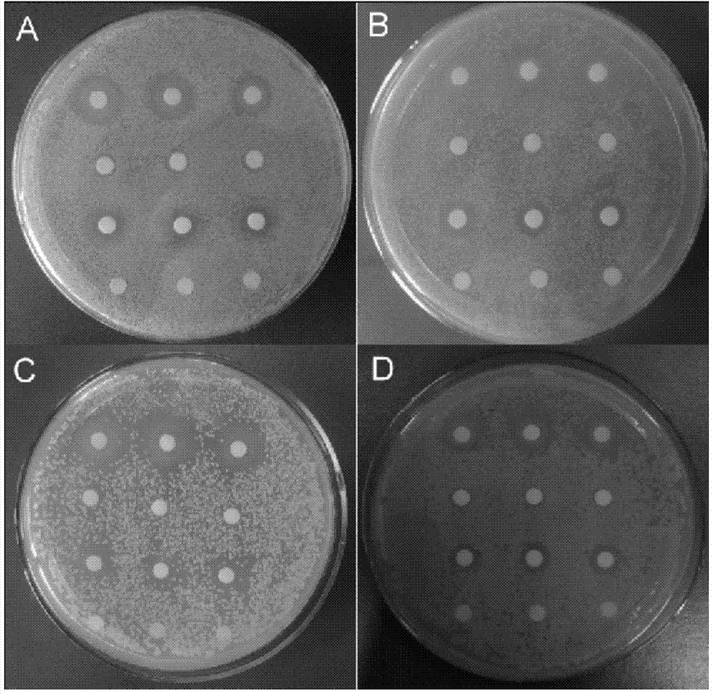 Microcapsule capable of resisting food-borne pathogenic bacteria as well as preparation method and application thereof