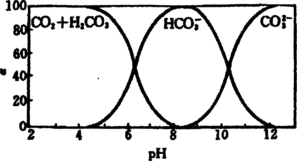 Industrial ultrapure water preparation process