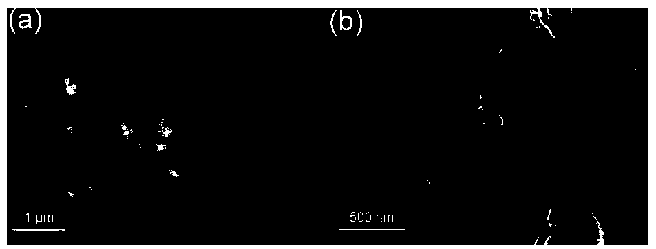 Manganese ion-doped metal organic framework material and preparation method and application thereof