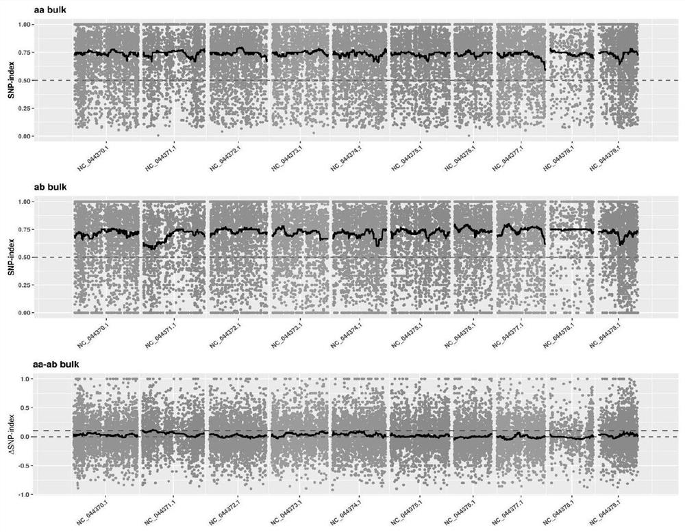 Rapid positioning method for industrial hemp trait related genes