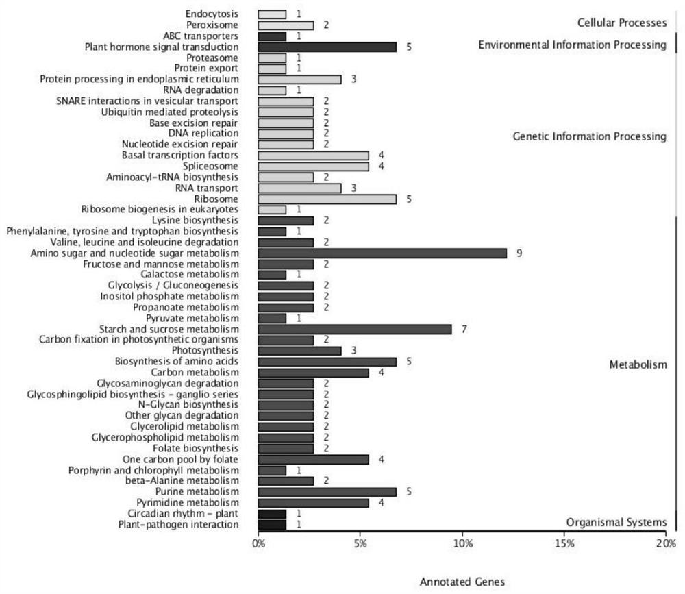 Rapid positioning method for industrial hemp trait related genes