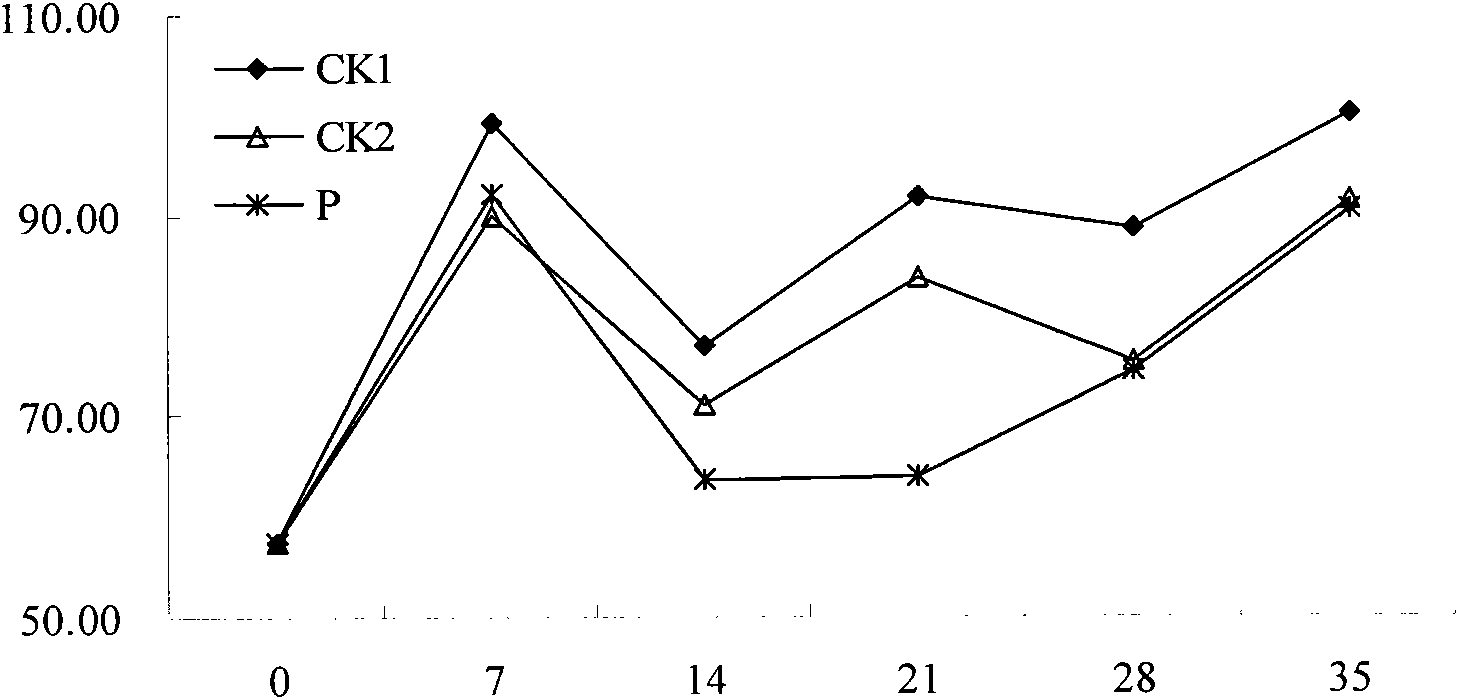 Natural preservative for nectarine and application thereof