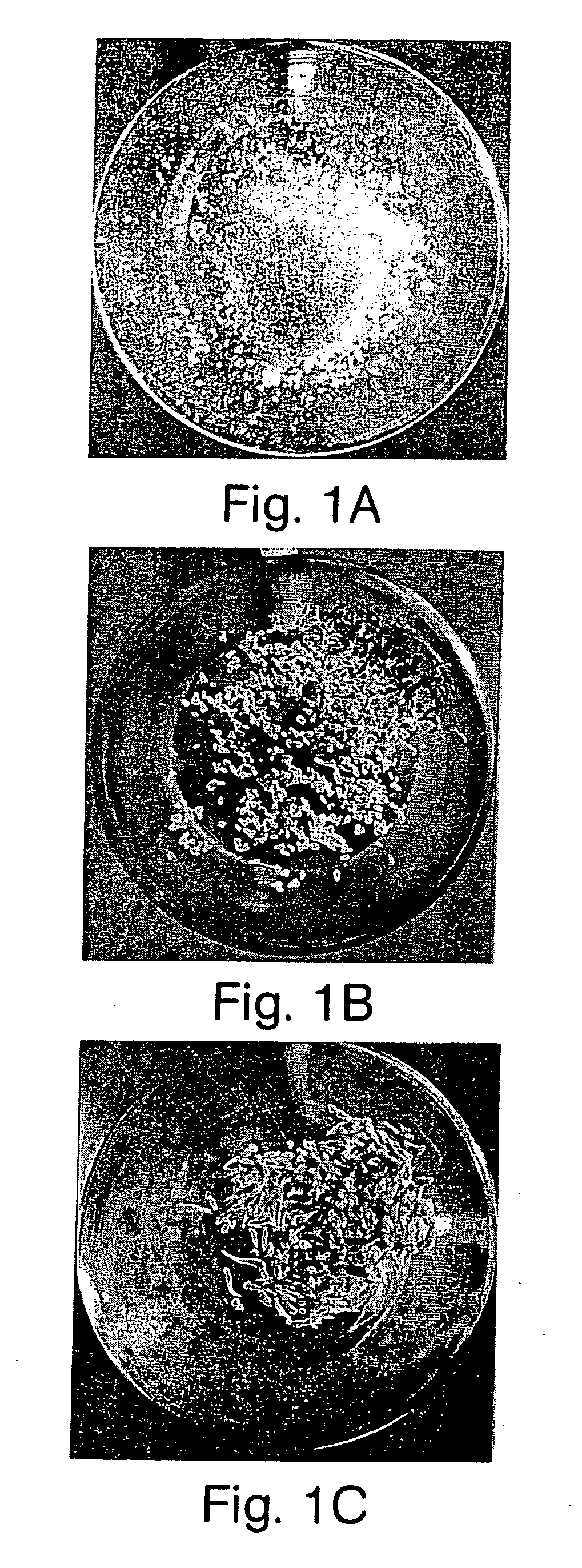 Pathogen-resistant grape plants