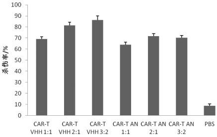 Chimeric antigen receptor (CAR) targeting BCMA and application thereof