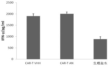 Chimeric antigen receptor (CAR) targeting BCMA and application thereof