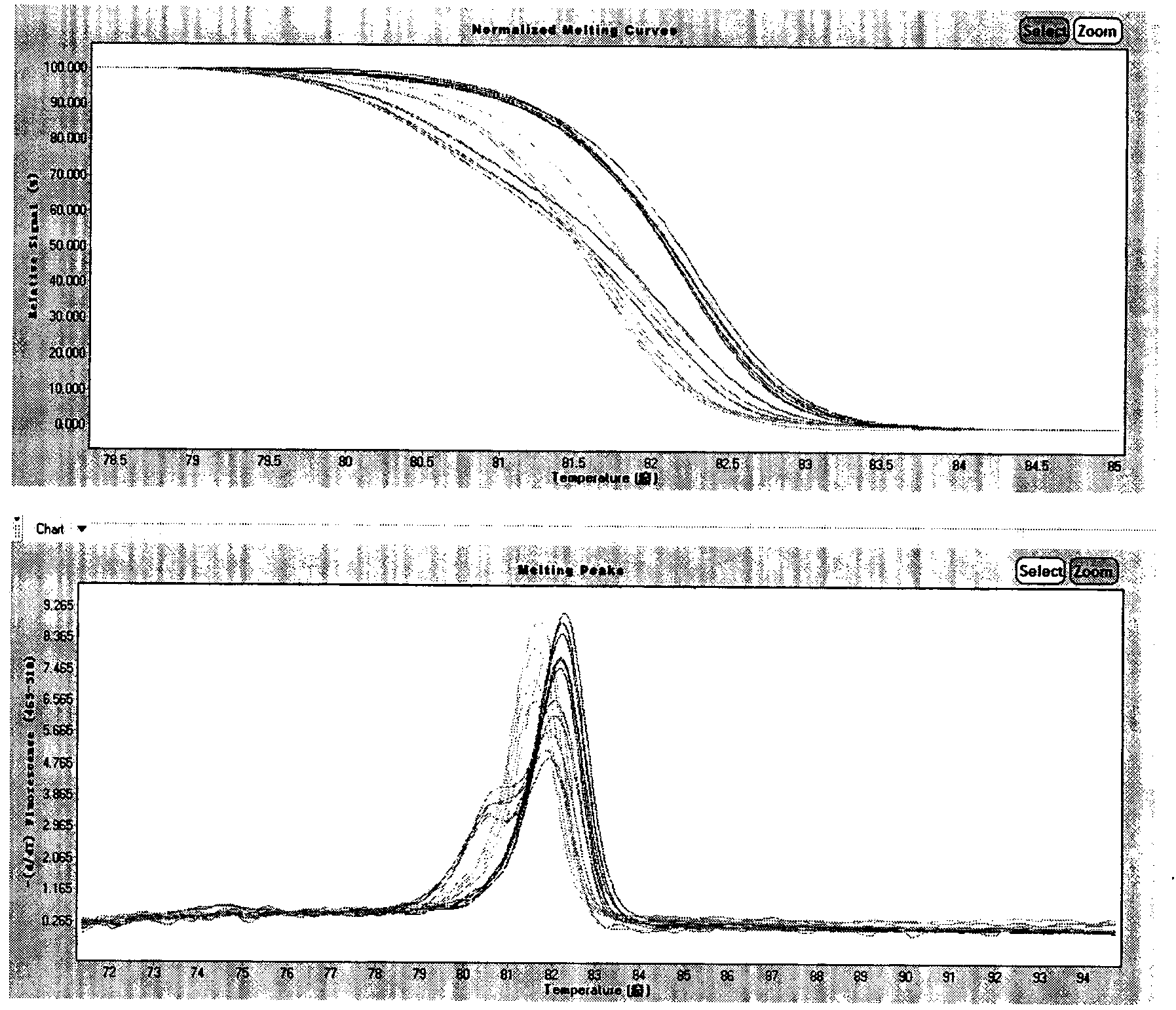 Detection method and kit for coronary heart disease susceptibility loci rs1801133